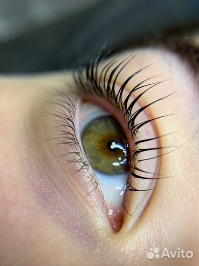 Ламинирование ресниц, брови