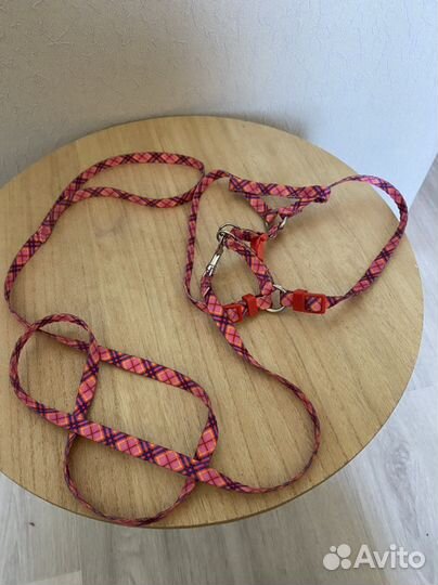 Поводок и шлейка для собаки