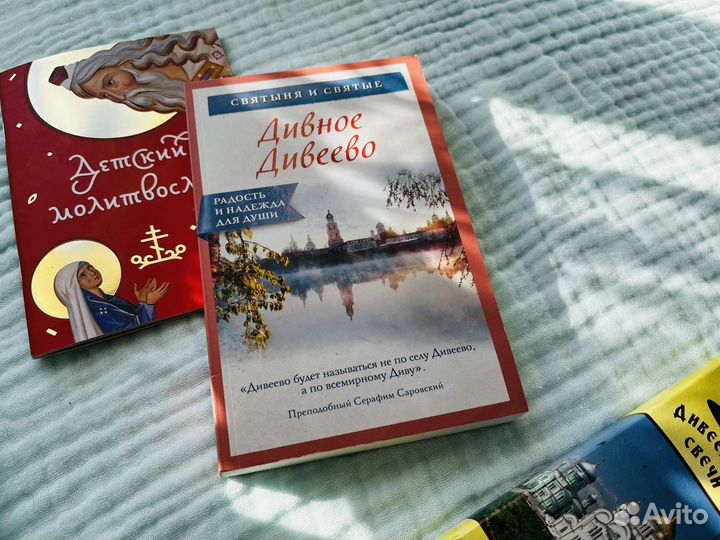 Дивное Дивеево книга