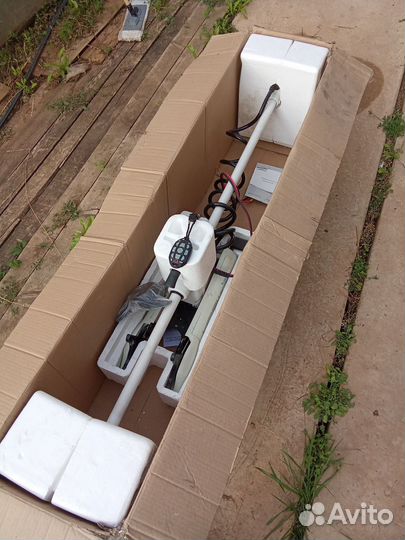 Хасвинг кайман