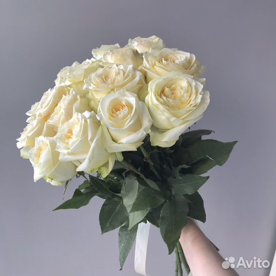 Розы кремовые пионовидные
