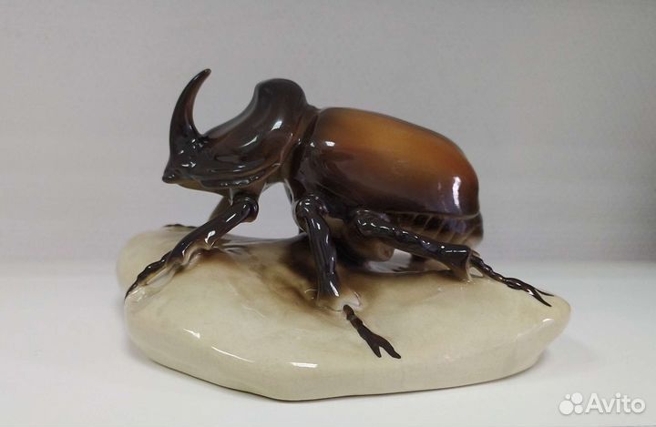 Жук носорог. Royal dux