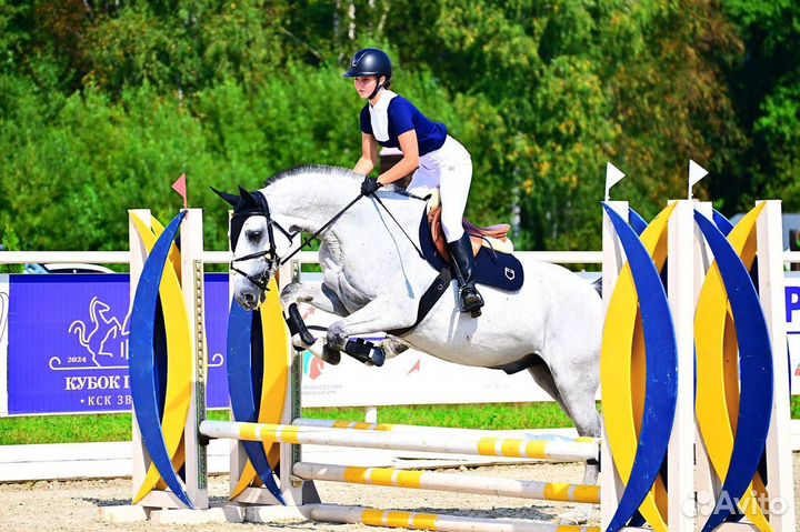 Лошадь мерин