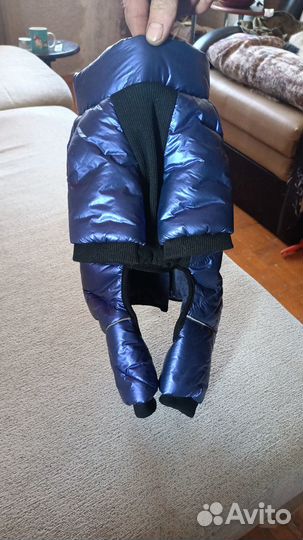 Комбинезон для маленькой собаки мальчик зима