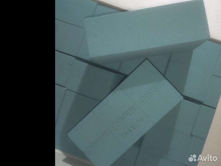 Оазис, губка