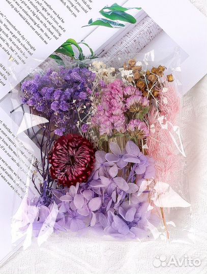 Сухоцветы набор