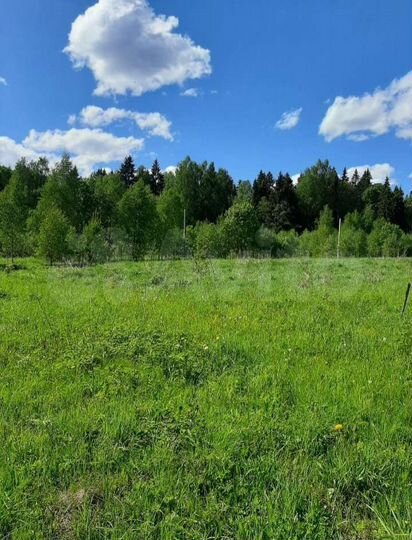 Участок 1,02 га (СНТ, ДНП)