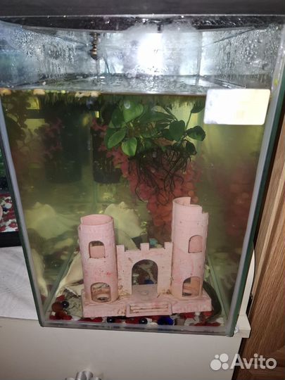 Аквариум разные летер Разное фильтр насосы