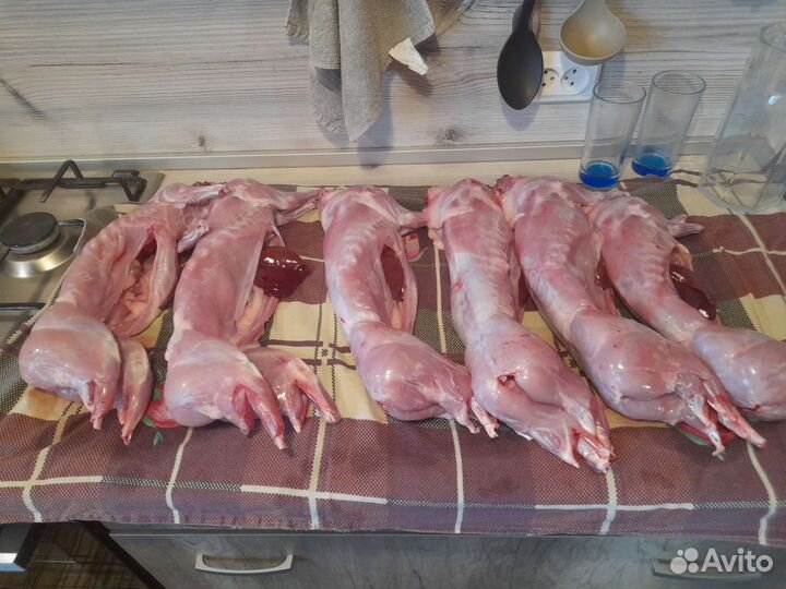 Мясо кролика