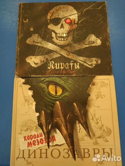 Книга Пираты