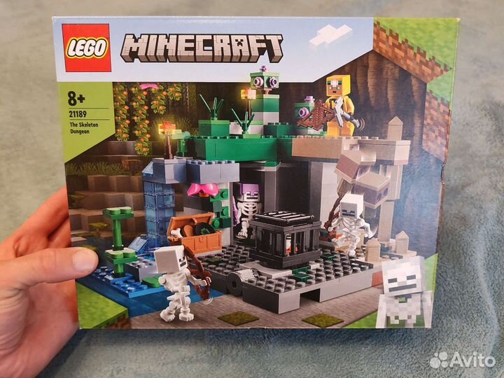 Lego minecraft 21189