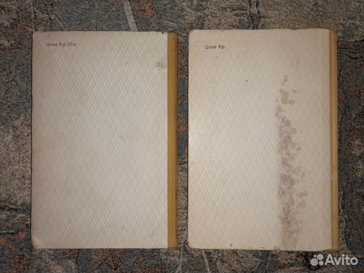 Лебедев. Завоевание Земли в двух томах