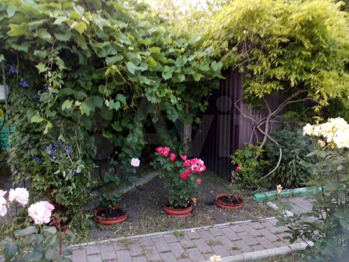 2-к. квартира, 50 м², 1/2 эт.