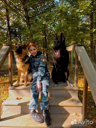 Зоопсихолог/ Кинолог/ Ветеринария