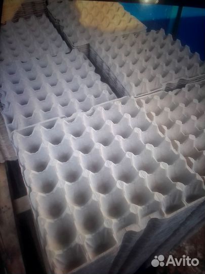 Лотки для яиц