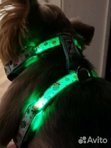 Шлейка светящаяся новая белая