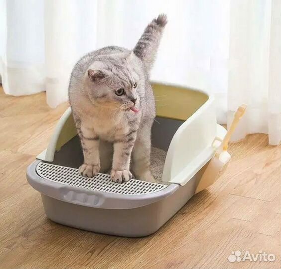 Большой лоток для кошек с высокими бортиками, 52см