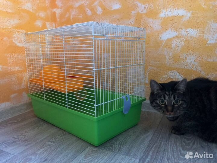Просторная клетка для хомяка (не для кота)
