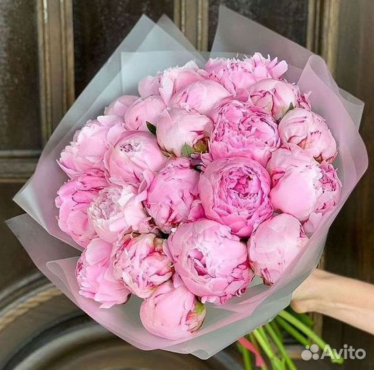 Пионы Букет пионов