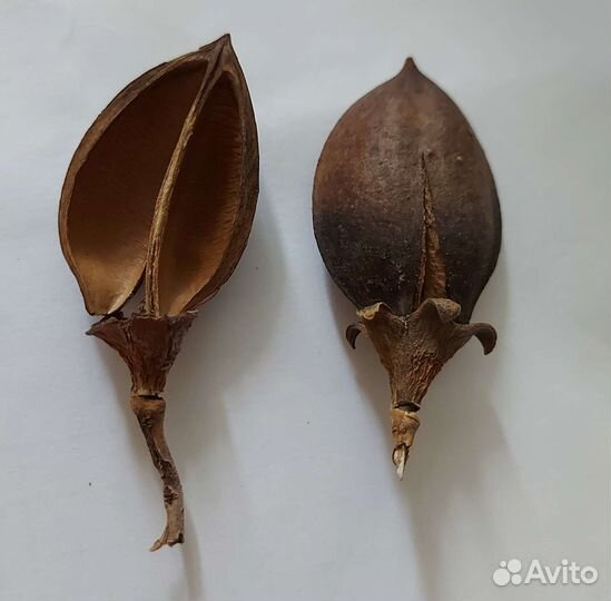 Материал для экокомпозиций