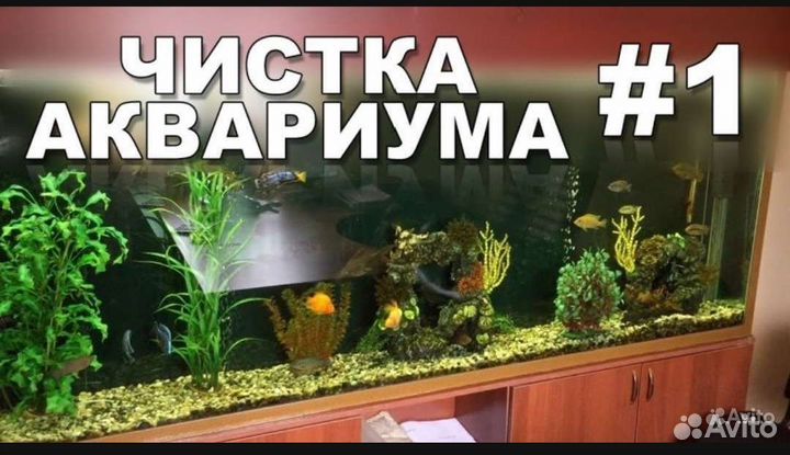 Чистка аквариума