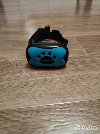 Ошейник для собак