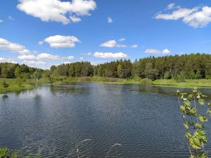 Участок 3 сот. (СНТ, ДНП)