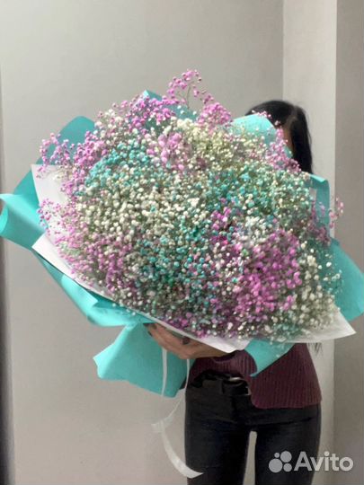 Радужная гипсофила