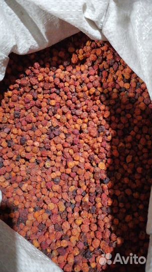 Вяленая ягода оптом