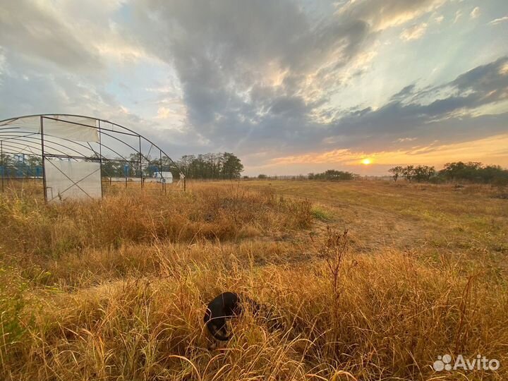 Сдам в аренду теплицы и поле