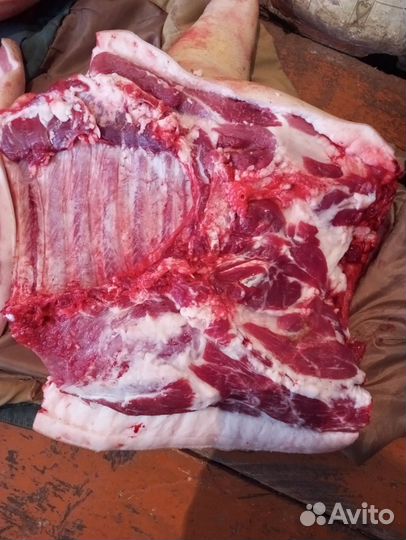 Свинина домашняя