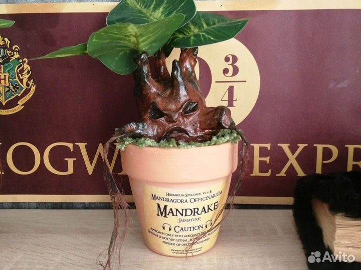Гарри Поттер Мандрагора со звуковым модулем