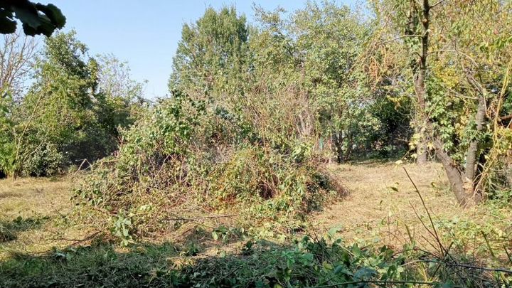 Дача 20 м² на участке 16 сот.