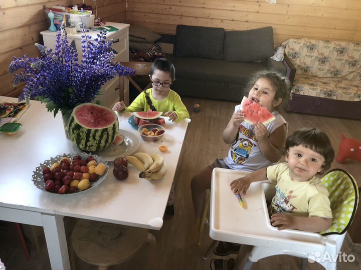 Няня/автоняня/няня на лето