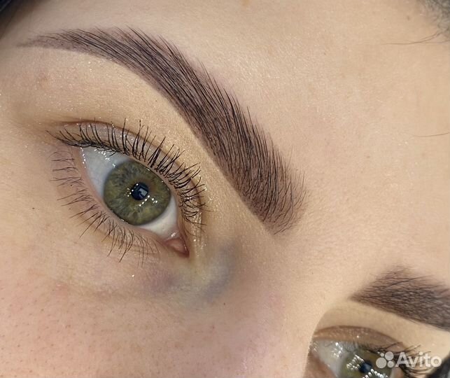 Мастер бровист