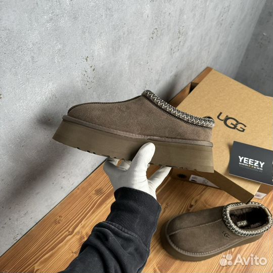 Женские Тапочки Ugg Tazz New Hickory