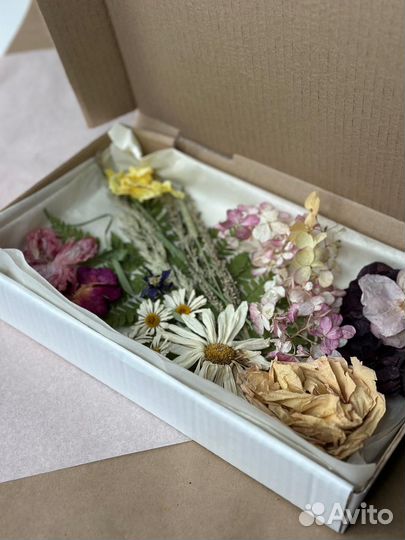 Сухоцветы лето