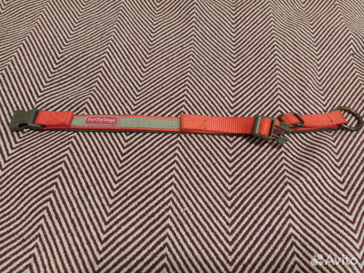 Ошейник для маленьких собак/кошек