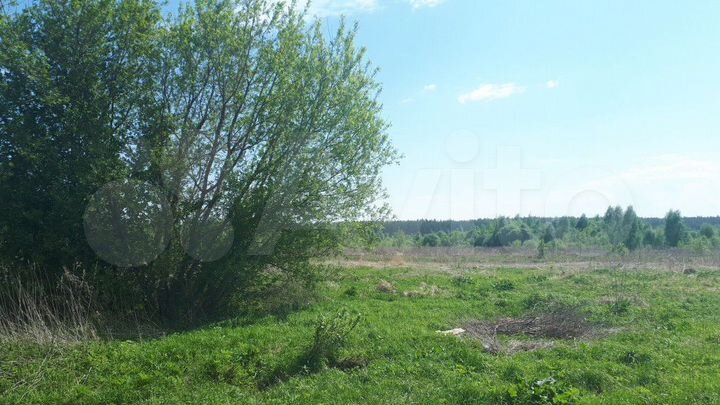 Участок 3,5 га (ИЖС)