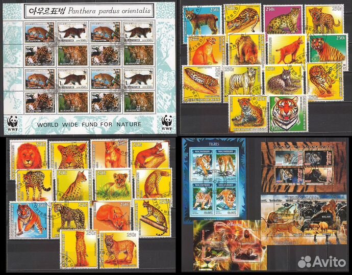 Альбом Фауна/Хищные кошки/Динозавры