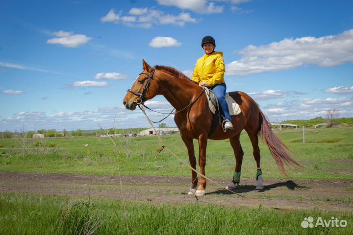 Занятие верховой ездой