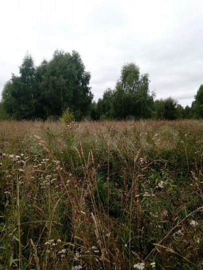 Участок 4,9 га (СНТ, ДНП)