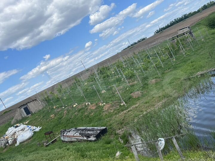 Участок 2,6 га (СНТ, ДНП)