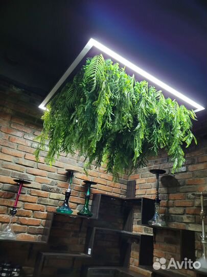 Озеленение интерьера