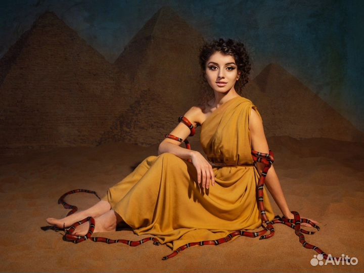 Аренда змей, рептилий