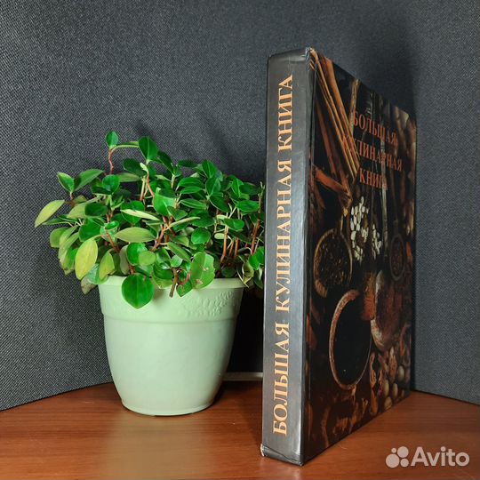 Большая кулинарная книга