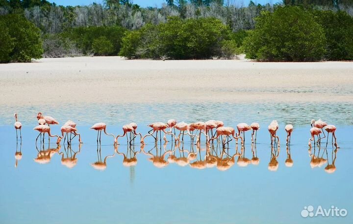 Путевочка на о. Кайо Коко (Куба) на 7 дн