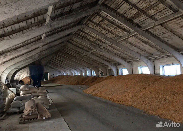 Цыплята и Утята с Птицефермы