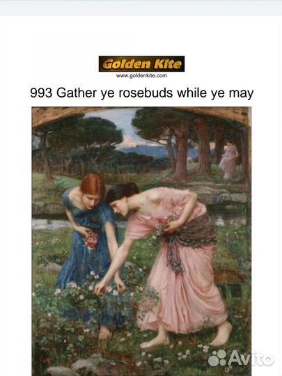 Схема для вышивания Golden Kite