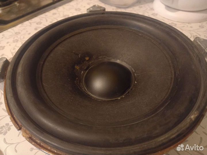 Динамик 10гд-30Б